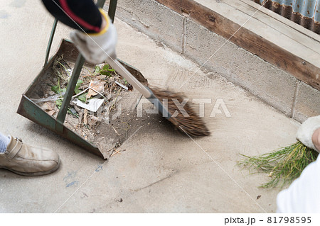 ちりとりとほうきで掃除 ちりとりとほうきで掃除 81798595