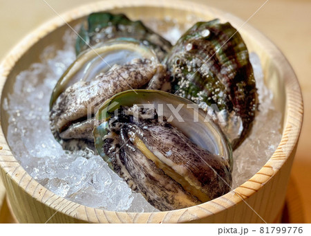 桶の中の鮑 桶の中の鮑 81799776
