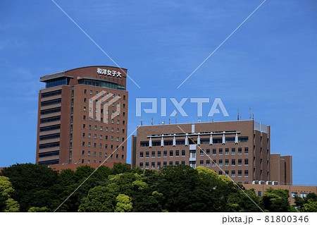 和洋女子大学 81800346