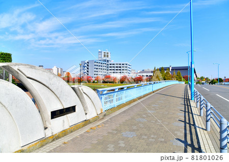 瑞光橋より瑞光橋公園、産業技術高専周辺を望む(東京都荒川区)【2020.11】 瑞光橋より瑞光橋公園、産業技術高専周辺を望む(東京都荒川区)【2020.11】 81801026