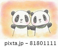 双子のパンダちゃん 81801111
