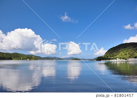 奄美大島　瀬戸内町久根津の穏やかな海 81801457