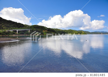 奄美大島　瀬戸内町久根津の穏やかな海 81801485