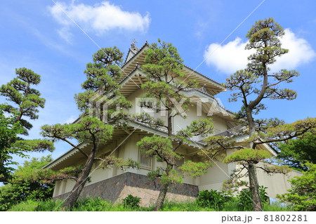 騎西城　埼玉県　加須市 81802281