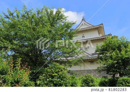騎西城　埼玉県　加須市 81802283