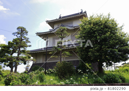 騎西城 埼玉県 加須市 騎西城 埼玉県 加須市 81802290