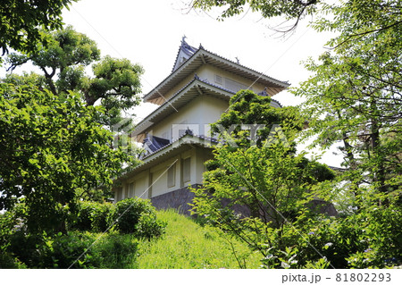 騎西城　埼玉県　加須市 81802293