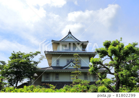 騎西城 埼玉県 加須市 騎西城 埼玉県 加須市 81802299
