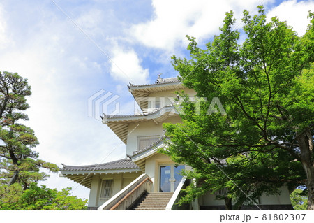 騎西城　埼玉県　加須市 81802307