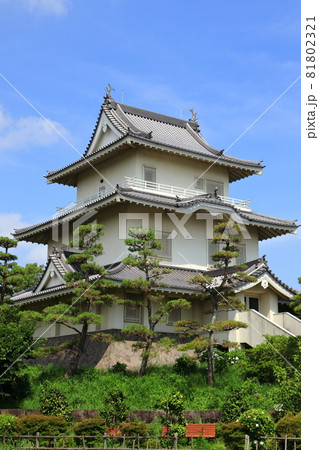 騎西城　埼玉県　加須市 81802321