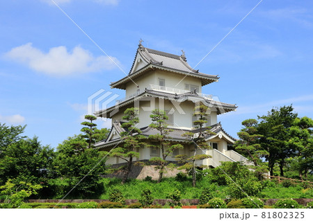 騎西城 埼玉県 加須市 騎西城 埼玉県 加須市 81802325