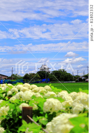 騎西城　埼玉県　加須市　 81802332