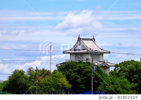 騎西城　埼玉県　加須市 81802334
