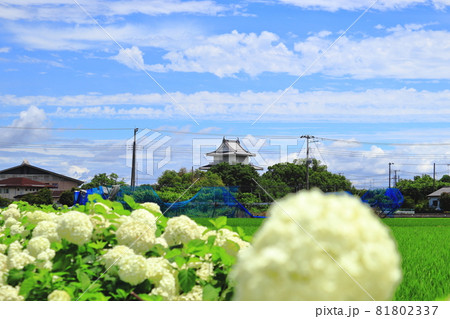 騎西城　埼玉県　加須市　 81802337