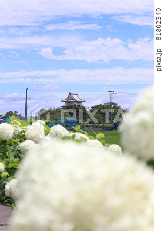 騎西城　埼玉県　加須市　 81802340