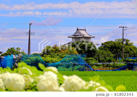 騎西城　埼玉県　加須市　 81802343