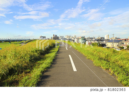 埼玉県道156号三郷幸手自転車道線(江戸川自転車道)/埼玉県三郷市早稲田1丁目 埼玉県道156号三郷幸手自転車道線(江戸川自転車道)/埼玉県三郷市早稲田1丁目 81802363
