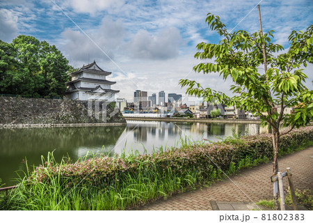 《愛知県》名古屋城 西北隅櫓 《愛知県》名古屋城 西北隅櫓 81802383