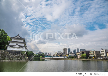 《愛知県》名古屋城 西北隅櫓 《愛知県》名古屋城 西北隅櫓 81802390