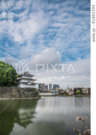 《愛知県》名古屋城 西北隅櫓 《愛知県》名古屋城 西北隅櫓 81802393