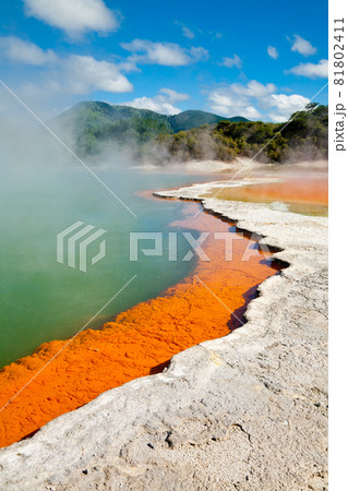 Champagne Pool Champagne Pool 81802411