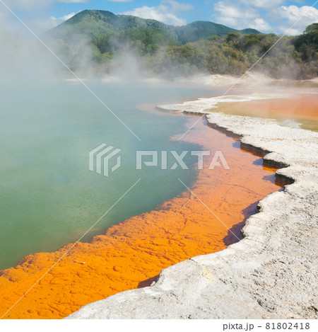 Champagne Pool Champagne Pool 81802418