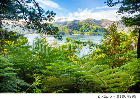 Marlborough Sounds as viewed from Queen Charlotte Track South Island New Zealand 81804899