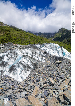 Lower part of Fox Glacier in South Island New Zealand 81805020