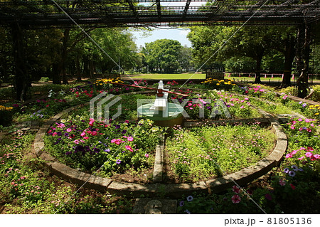 行田公園の大きな花時計　千葉県船橋市 81805136