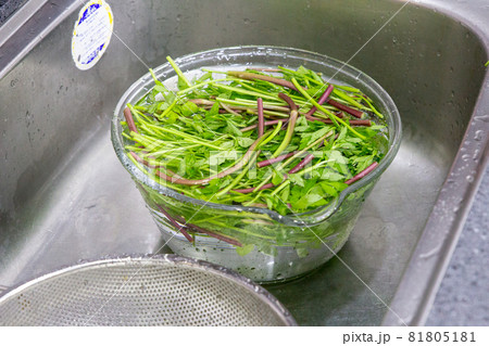 食べ物 フード 飲食物 81805181