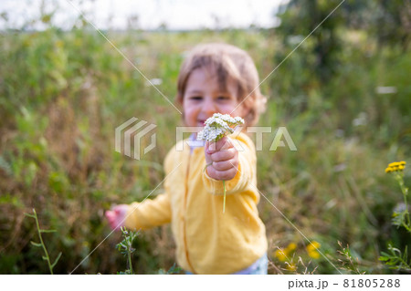 adorable little toddler stretches a flower into the camera in a summer field on a sunny day adorable little toddler stretches a flower into the camera in a summer field on a sunny day 81805288