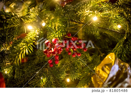 red berries branch closeup decoration spruce branch. In the background branches of a Christmas and New Year tree with lights in blur. close-up, soft focus, red berries branch closeup decoration spruce branch. In the background branches of a Christmas and New Year tree with lights in blur. close-up, soft focus, 81805486