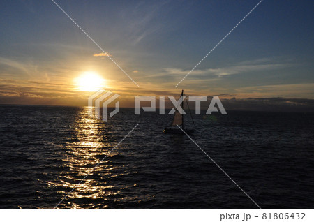アメリカ西海岸の海に沈む夕日 81806432