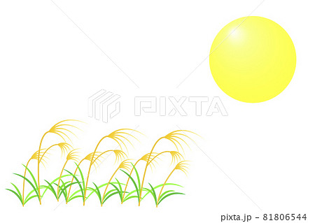 月見イメージ 満月とススキのイラストのイラスト素材