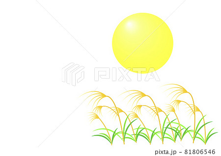 月見イメージ 満月とススキのイラストのイラスト素材