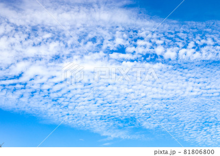 青空 青空 81806800