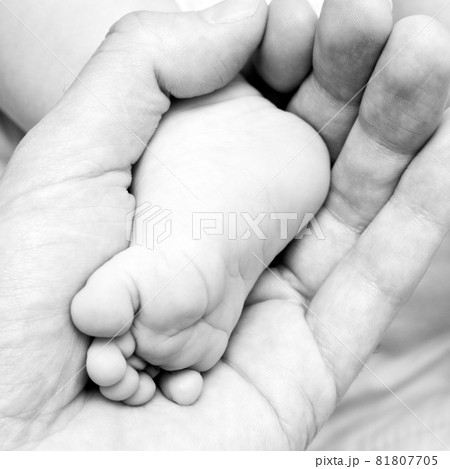 Tiny foot Tiny foot 81807705