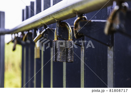 Love Locks Hanging on the Rail Among Others Variegated Padlocks 81808717