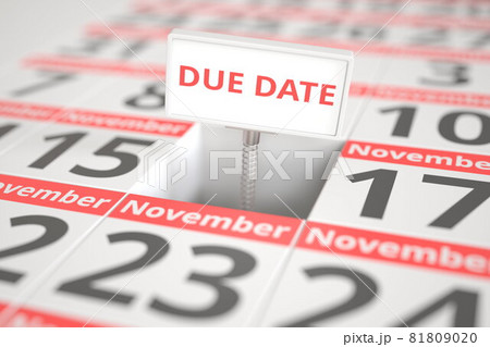 DUE DATE sign on November 16 in a calendar, 3d rendering 81809020