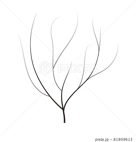 bald handdraw tree vector illustration element for game design. winter tree without crown. dead tree bald handdraw tree vector illustration element for game design. winter tree without crown. dead tree 81809613