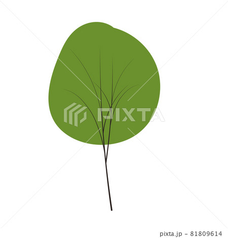 Tree set on doodles vector any season winter, spring, summenr, autumn. flat style Tree set on doodles vector any season winter, spring, summenr, autumn. flat style 81809614