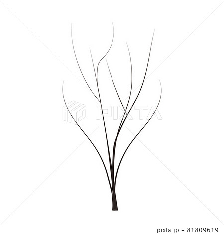 bald handdraw tree vector illustration element for game design. winter tree without crown. dead tree 81809619