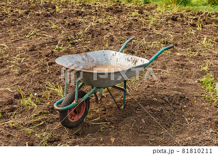 Empty wheelbarrow in the garden. Empty wheelbarrow in the garden. 81810211