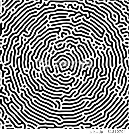 Vector black and white organic rounded lines pattern. 81810704