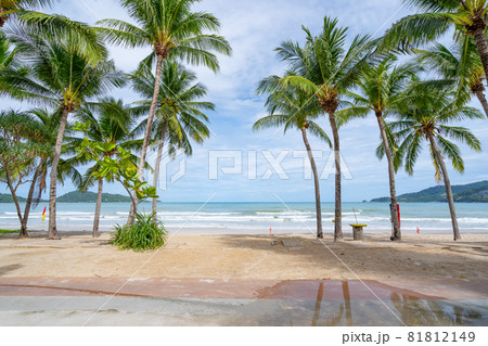 Phuket patong beach Summer beach with palms trees around in Patong beach Phuket island Thailand, Beautiful tropical beach with blue sky background in summer season Copy space Phuket patong beach Summer beach with palms trees around in Patong beach Phuket island Thailand, Beautiful tropical beach with blue sky background in summer season Copy space 81812149