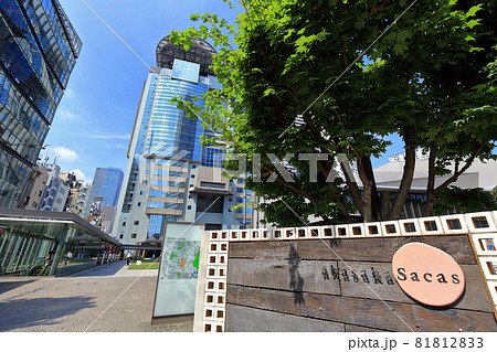 東京　港区　赤坂の都市風景　 TBS放送センター  ビッグハット 81812833