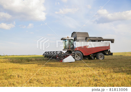 old combine harvester harvests from the field old combine harvester harvests from the field 81813006