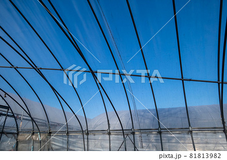 ビニールハウス ビニールハウス 81813982