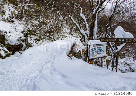 冬の安達太良山 冬の安達太良山 81814090