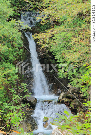 木曽　阿寺渓谷　六段の滝 81814115